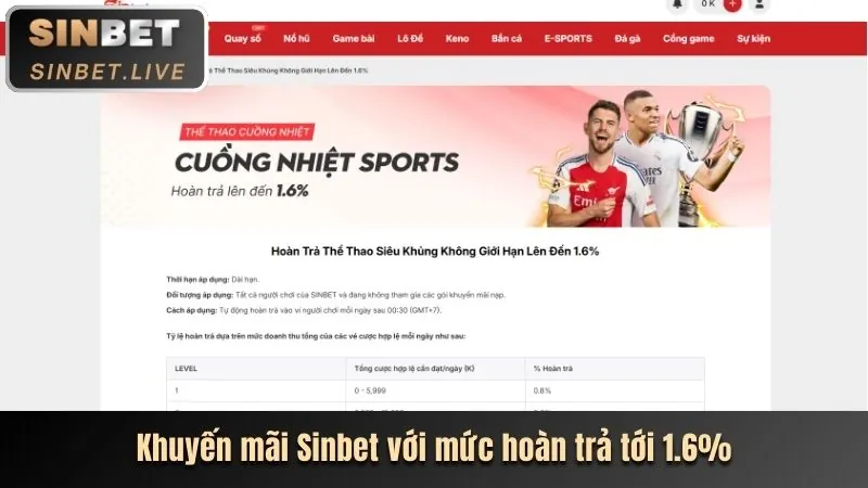 Các chương trình khuyến mãi roy bet